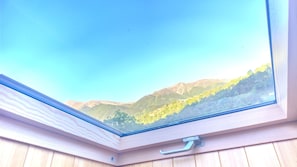 Une lucarne offrant une vue sur les montagnes et les arbres.