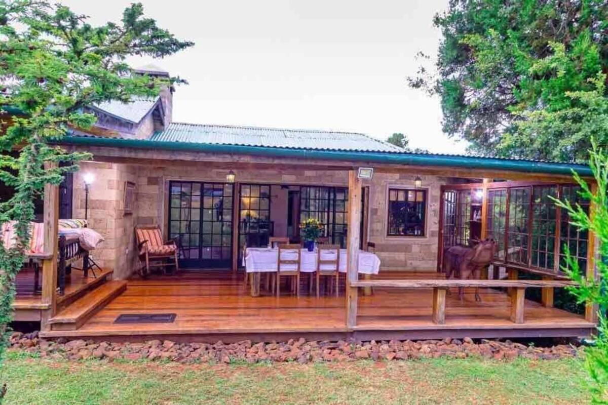 Classic Cabin | Terrace/patio