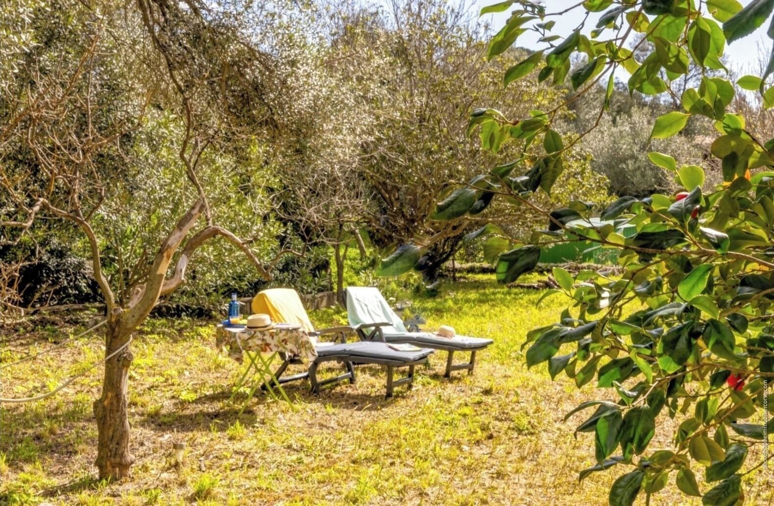 Un espace extérieur aménagé avec deux fauteuils confortables et une petite table, le tout entouré d’arbres et de verdure.