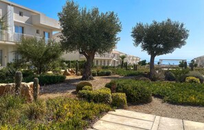 A landscaped garden with cacti, shrubs, and trees, leading to a building with balconies overlooking a body of water.