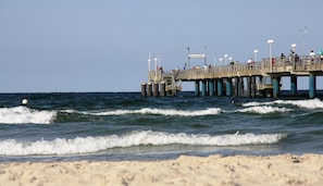 Ferienhaus | Blick von der Unterkunft