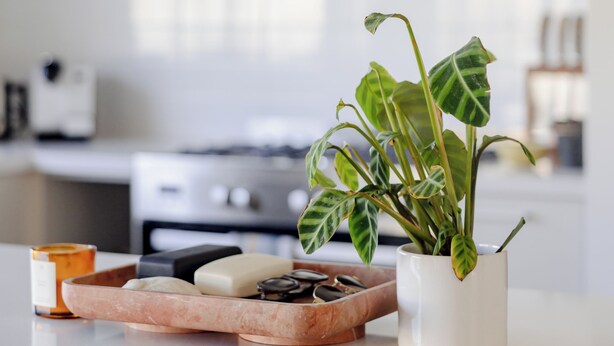 Et køkken med en bordplade, en plante og en bakke med sæbe og stearinlys.