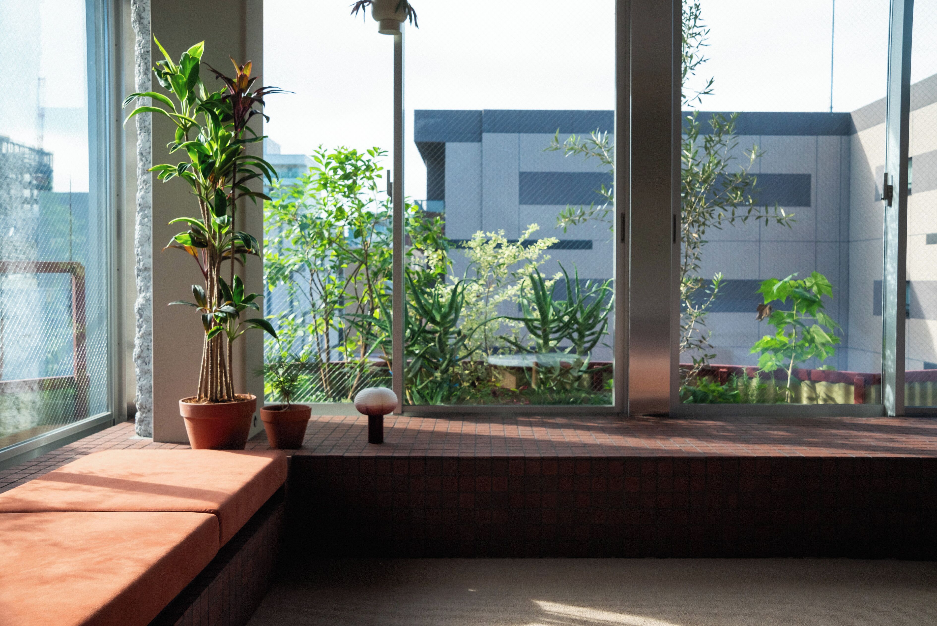 デザイン スイート シティビュー | 部屋からの景観