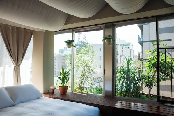 Vista desde la habitación