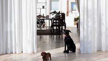 Pet-friendly