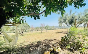 Esterni