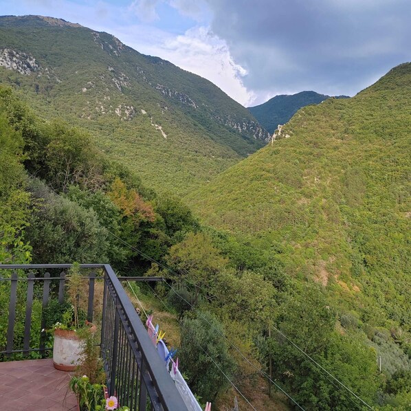 Àrea exterior de l'allotjament