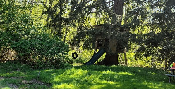 Children's area