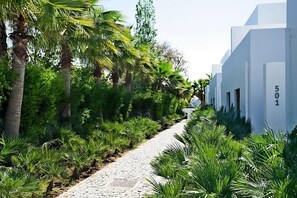 المنطقة المحيطة بالمنشأة