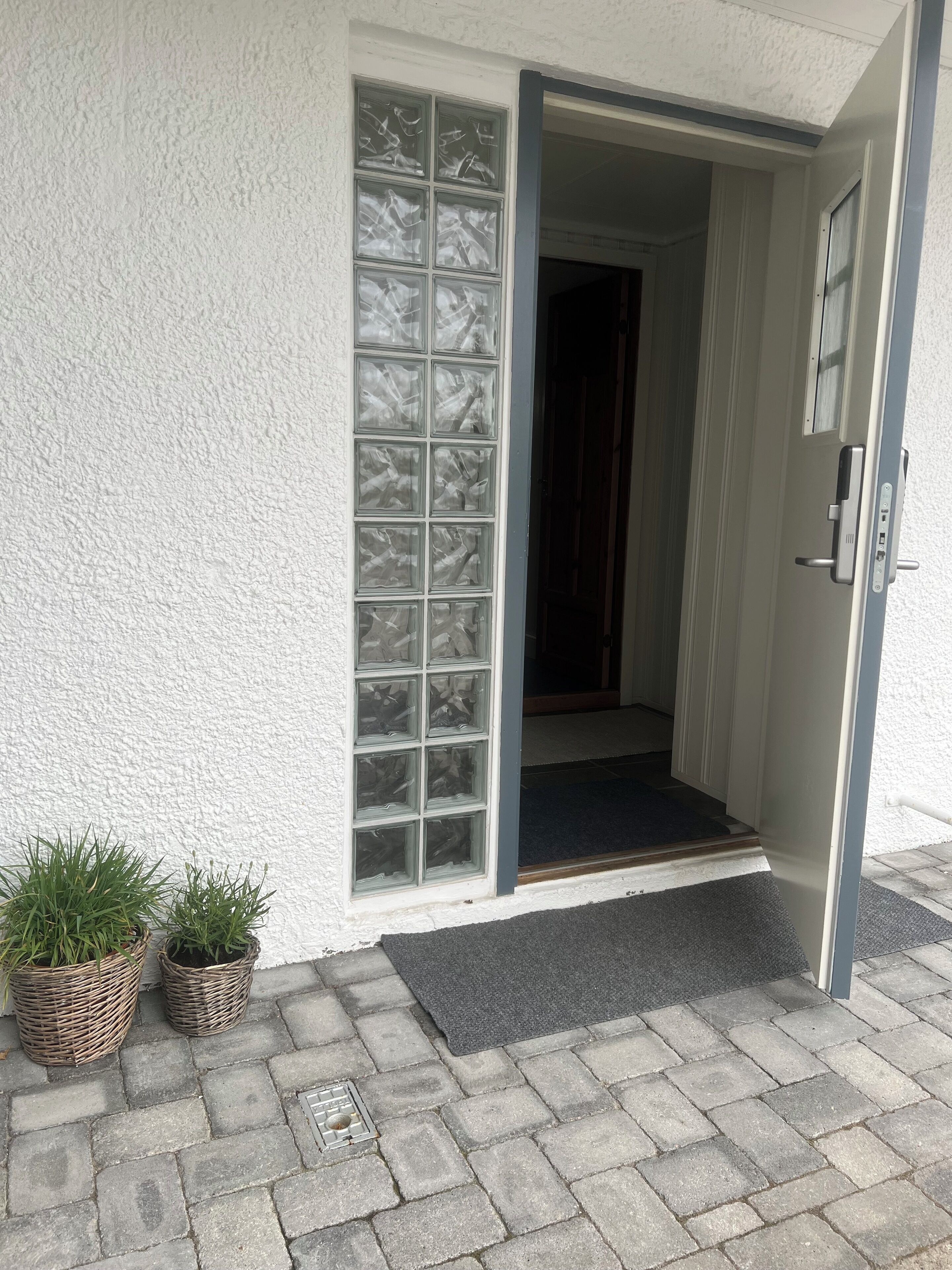 Een gebouwde ingang met een glazen deur, een deurmat en twee potplanten.
