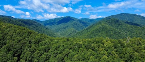 A dense forested mountain landscape with a clear sky.