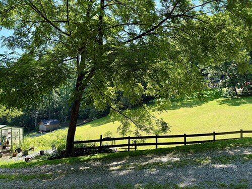 Site 4 – 50 Amp & Water, Tent Lot, Fire Ring