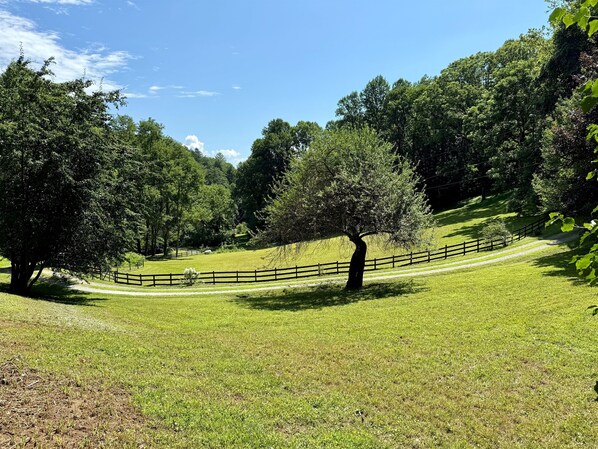 Un parc verdoyant, avec une clôture en bois, des arbres et un ciel dégagé.