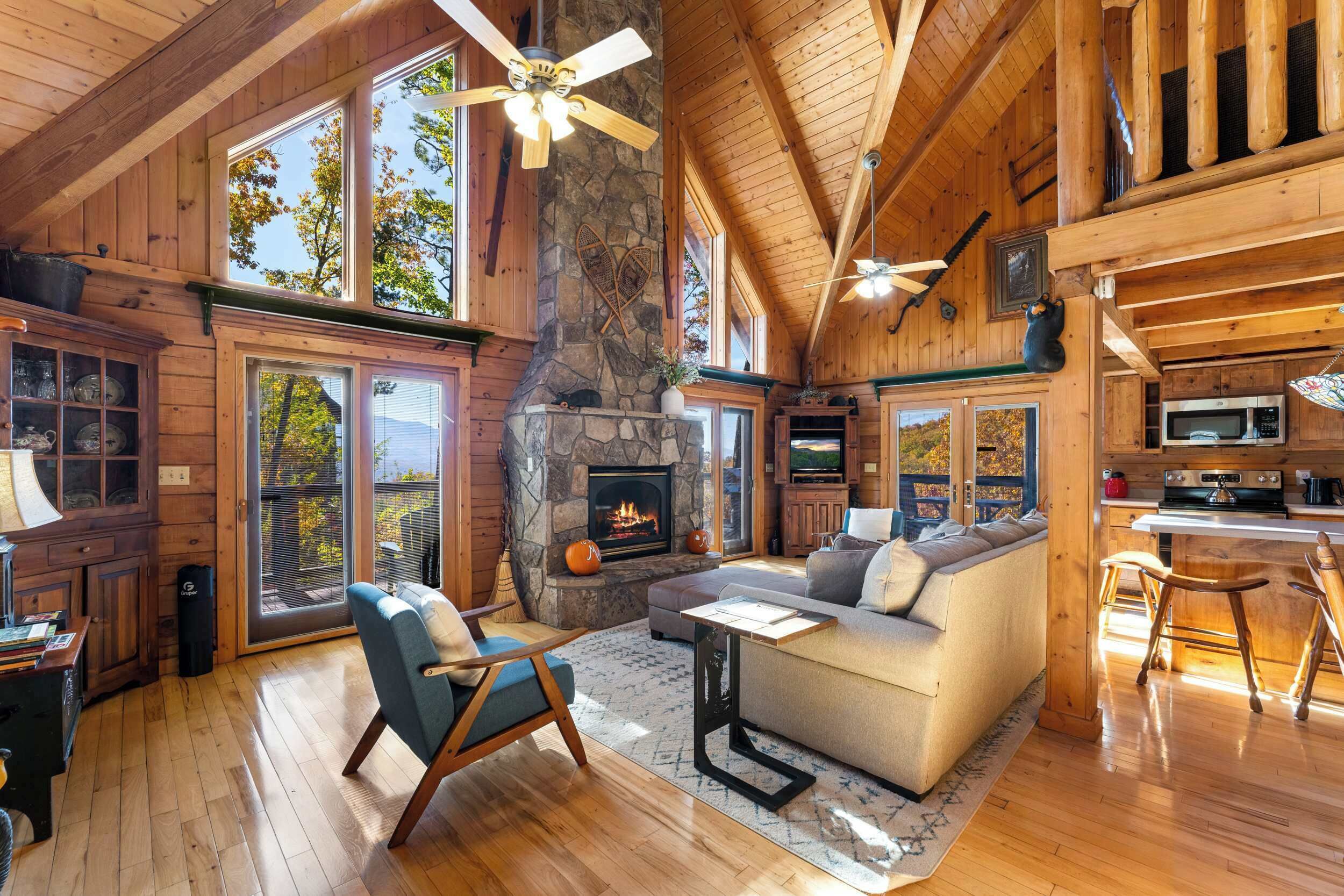 TV, fireplace, video games, offices