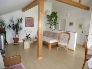 Fernseher