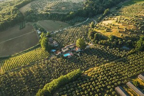 Vue aérienne