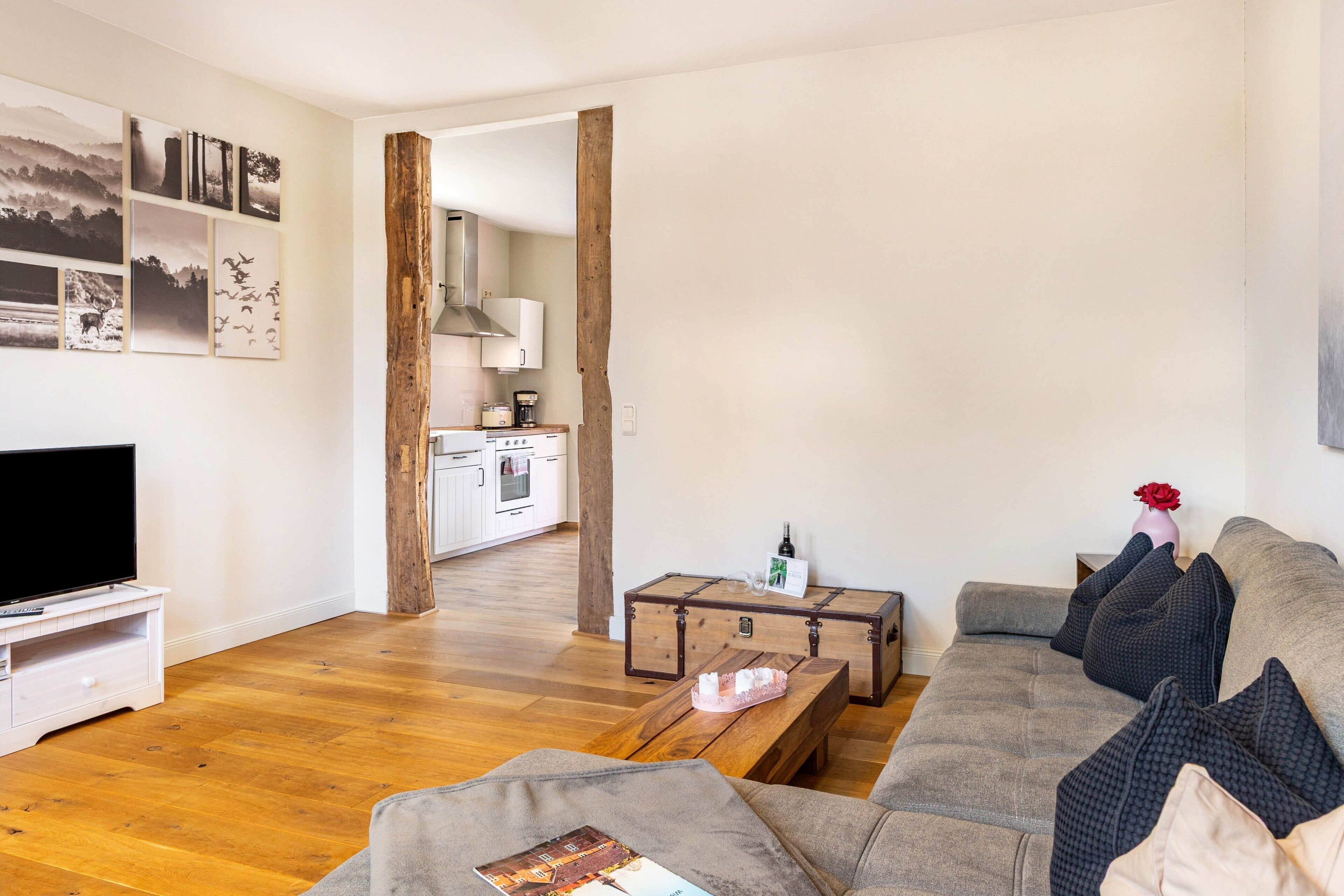 Fernseher, Tischtennisplatte