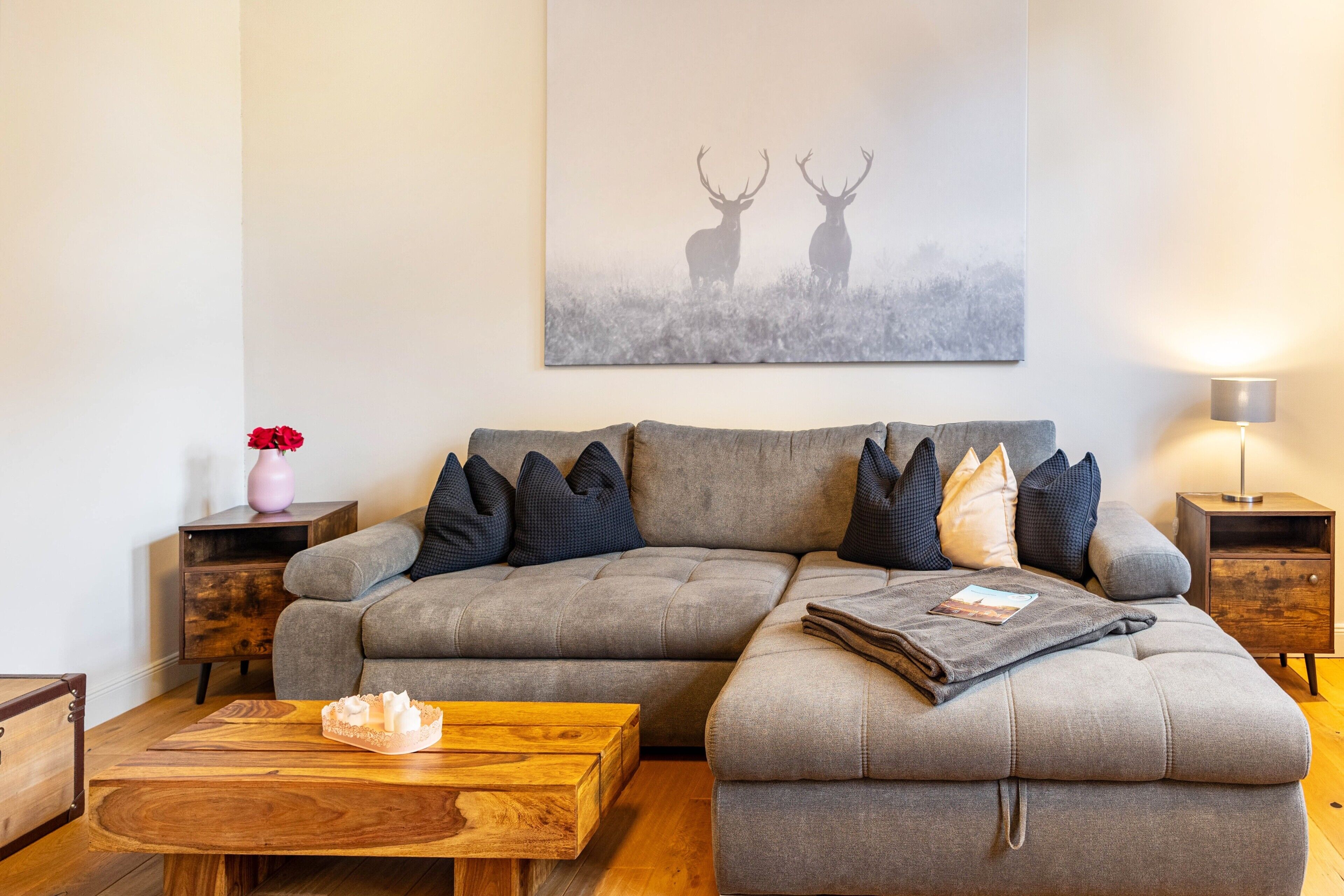 Televisio, pöytätennispöytä