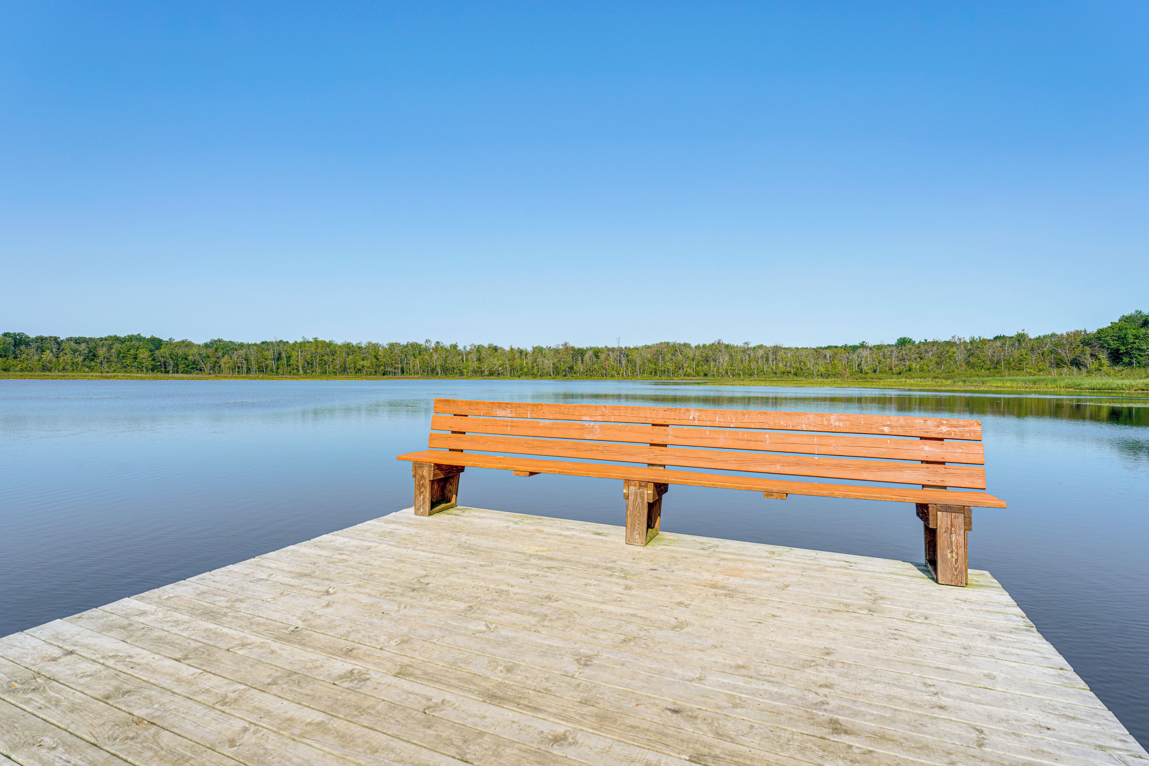 A wooden bench on a dock extending into calm water with a forested shoreline in the background.
