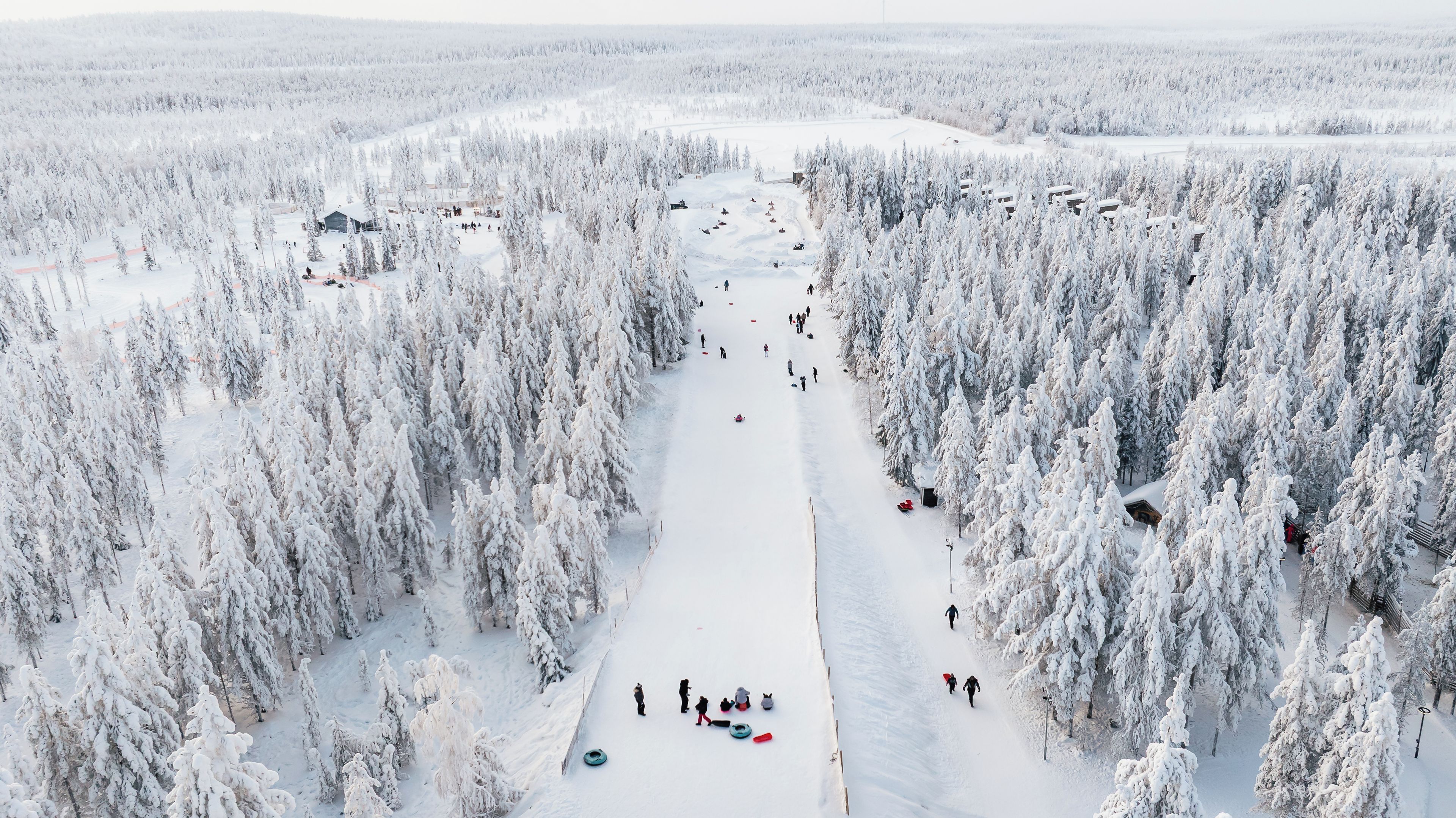 A snow-covered landscape with a ski slope, surrounded by dense forests.