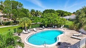 A swimming pool with lounge chairs and a palm tree.