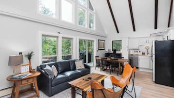 TV, fireplace, video games, books