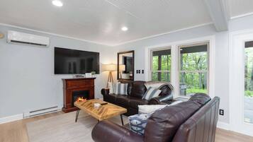 TV, fireplace, video games, books