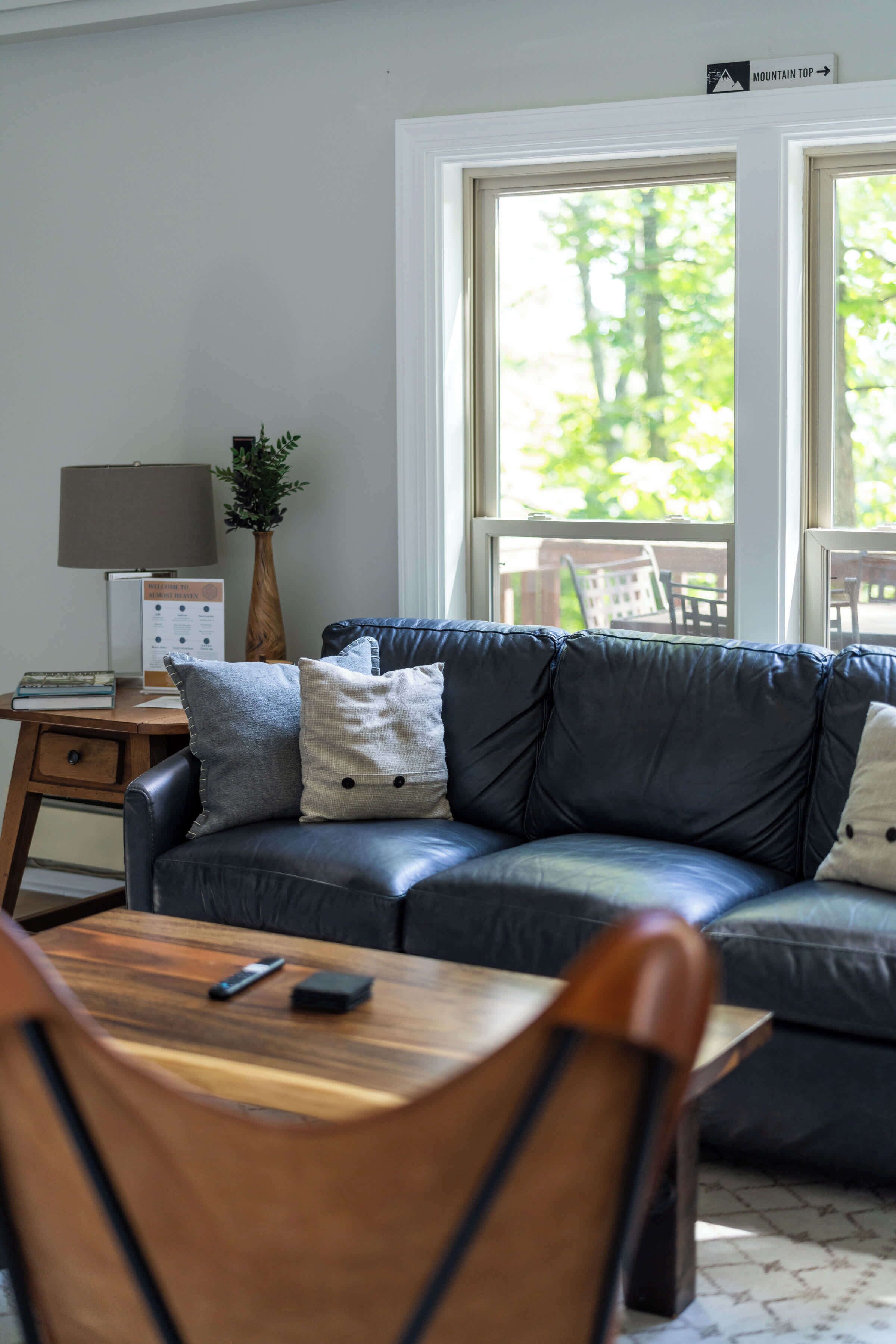 TV, fireplace, video games, books