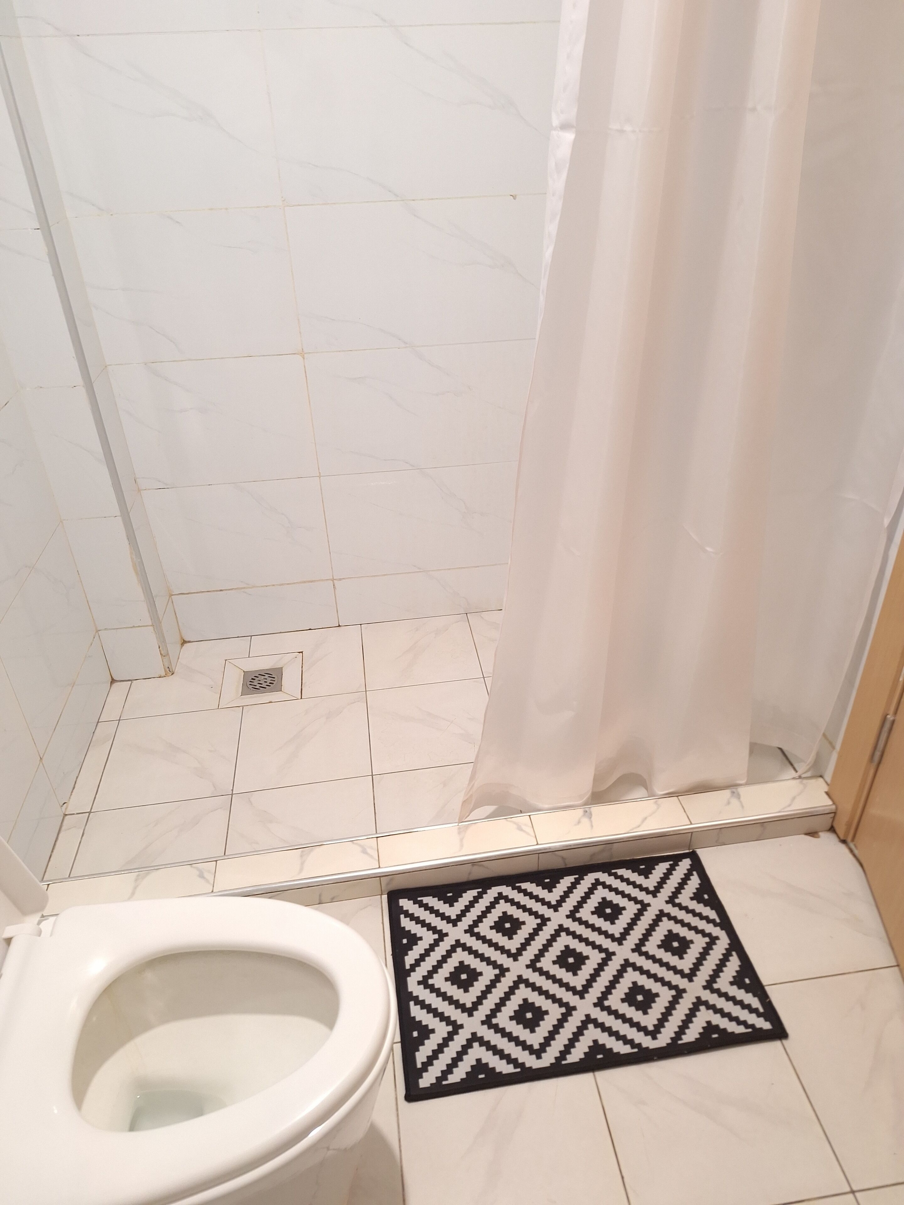 A bathroom with a toilet, a shower curtain, and a patterned rug.