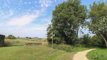 Àrea exterior de l'allotjament