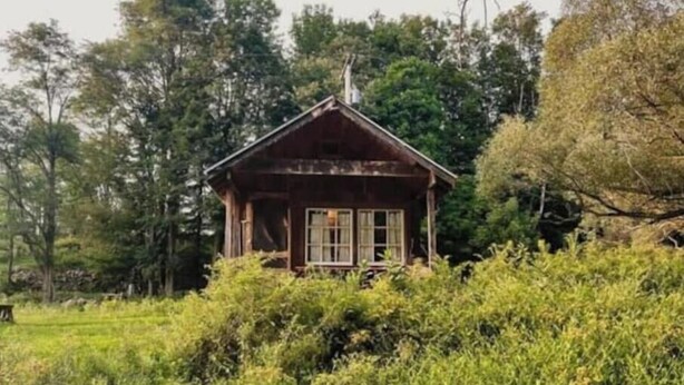 Una cabaña de madera rústica rodeada de vegetación densa.