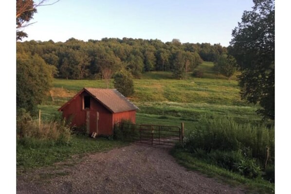 A rural scene with a red barn and a gravel path leading to a gated entrance.
