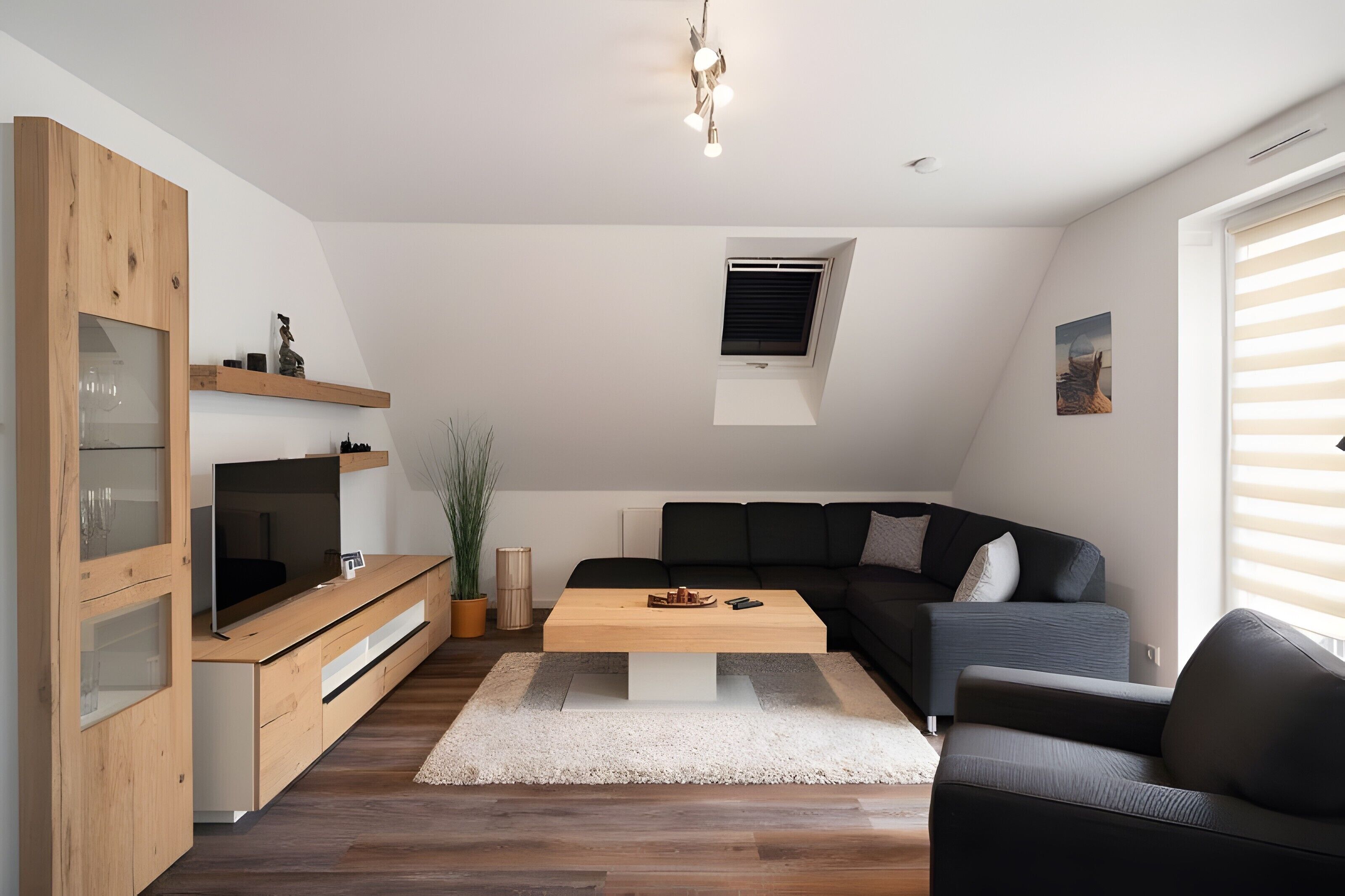 Télévision, lecteur de DVD, table de tennis de table, chaîne hi-fi