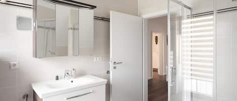 Shower, hair dryer, towels