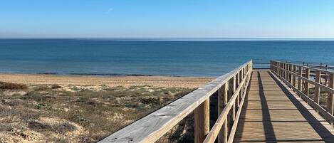 Playa en los alrededores y camastros