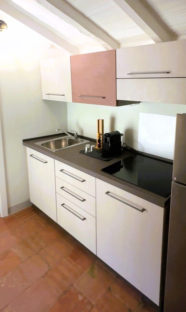 Classic Apartment, Balcony, City View | Private kitchen | Fridge, microwave, stovetop, cookware/dishes/utensils