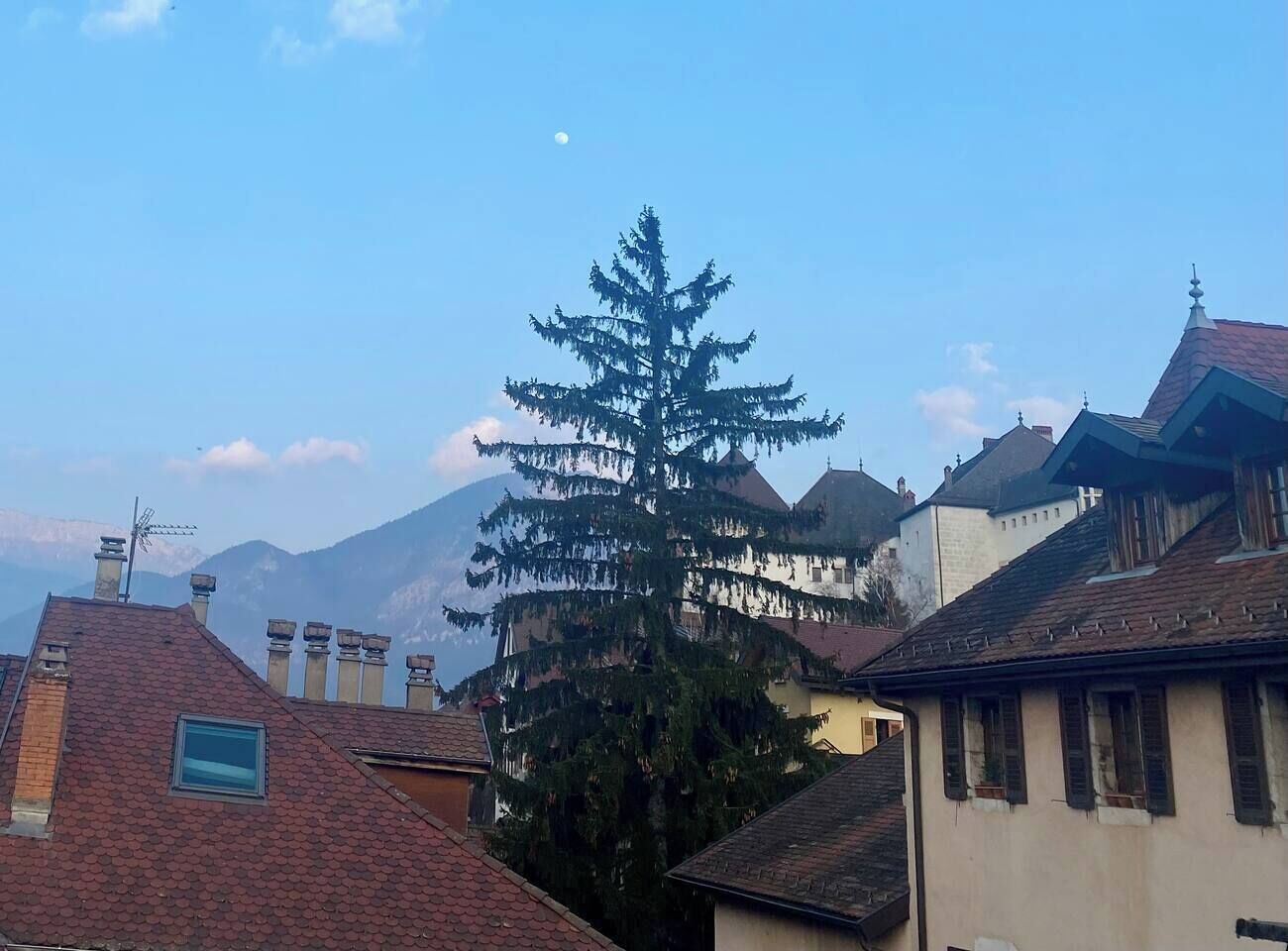 Un quartier résidentiel avec des maisons, un grand arbre à feuilles persistantes et une montagne en arrière-plan.