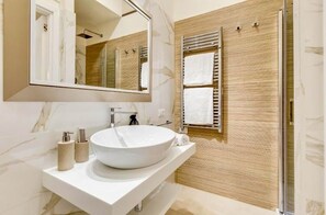 Shower, hair dryer, bidet, towels