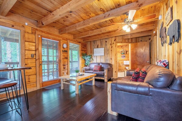 TV, fireplace, DVD player