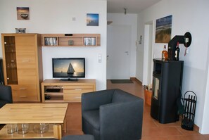 TV, fireplace, DVD player, books