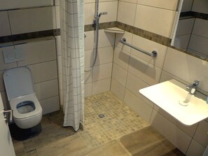 Shower, hair dryer, towels