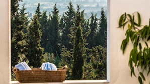 Una finestra con vista su una fitta foresta e un cesto di vimini con tessuti.