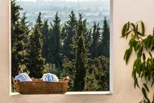 Vista desde la habitación