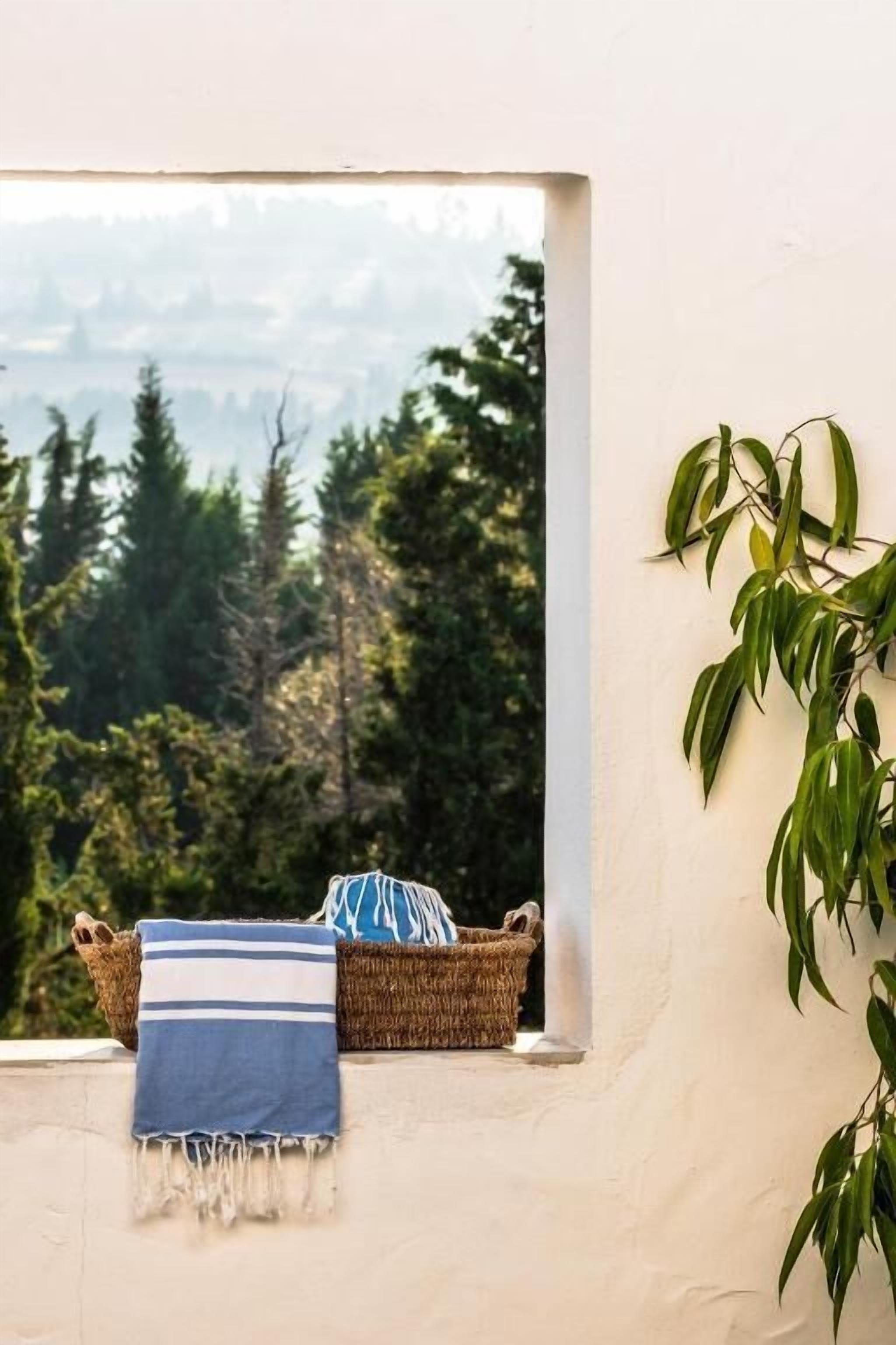 Une fenêtre donnant sur une forêt, un panier tressé avec un coussin à rayures bleues et blanches, et une plante sur la droite.