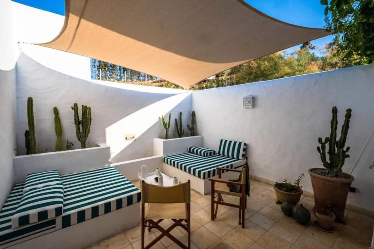 Un patio con un muro blanco, cojines a rayas verdes y blancas, una silla de madera, una mesa y varios cactus en macetas.