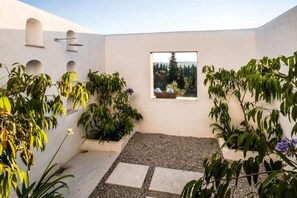 Deluxe Double Room | Terrace/patio