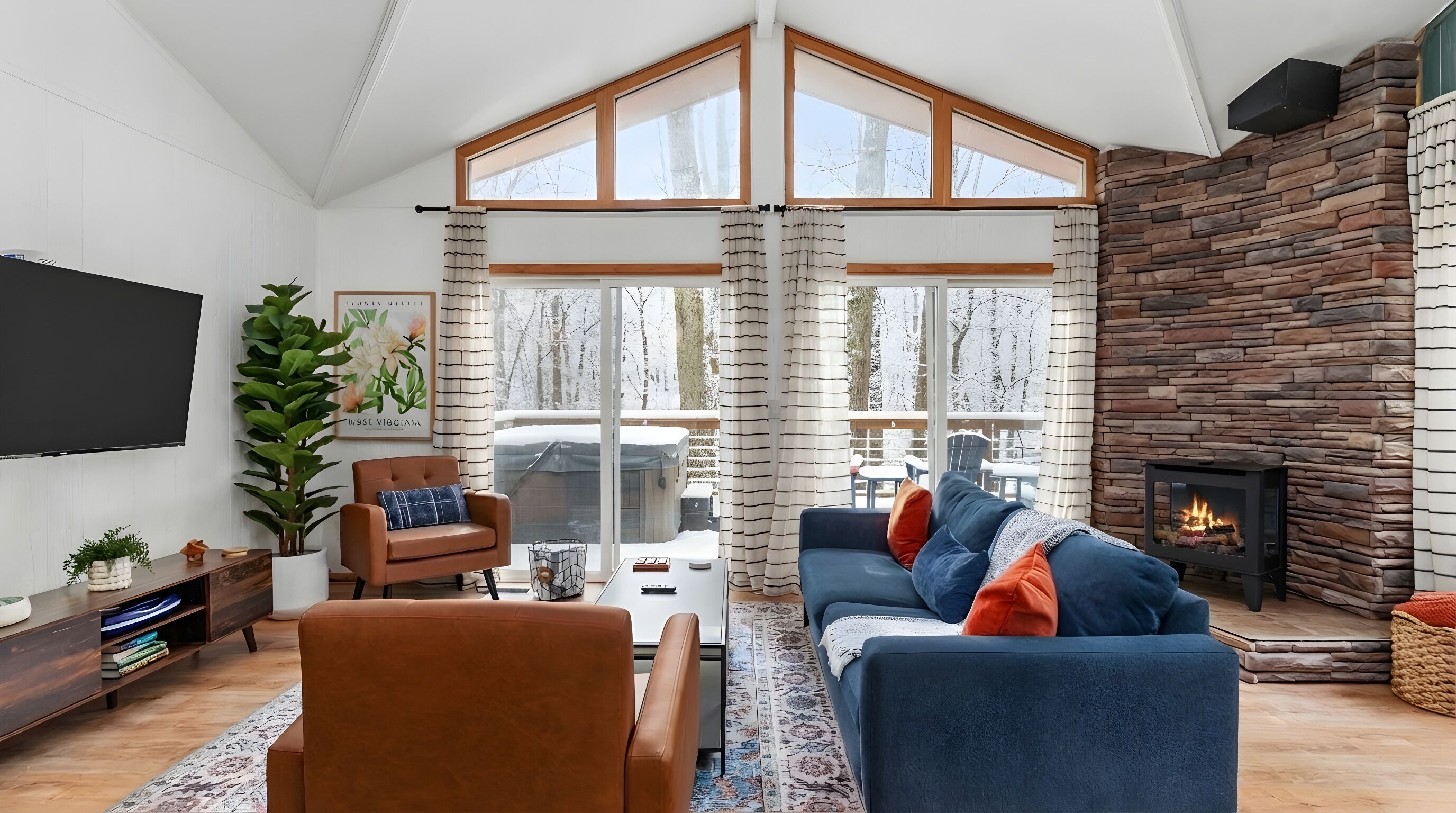 Smart TV, fireplace, books