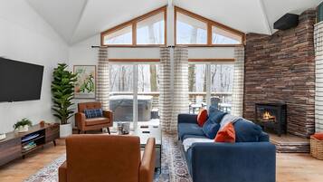 Smart TV, fireplace, books