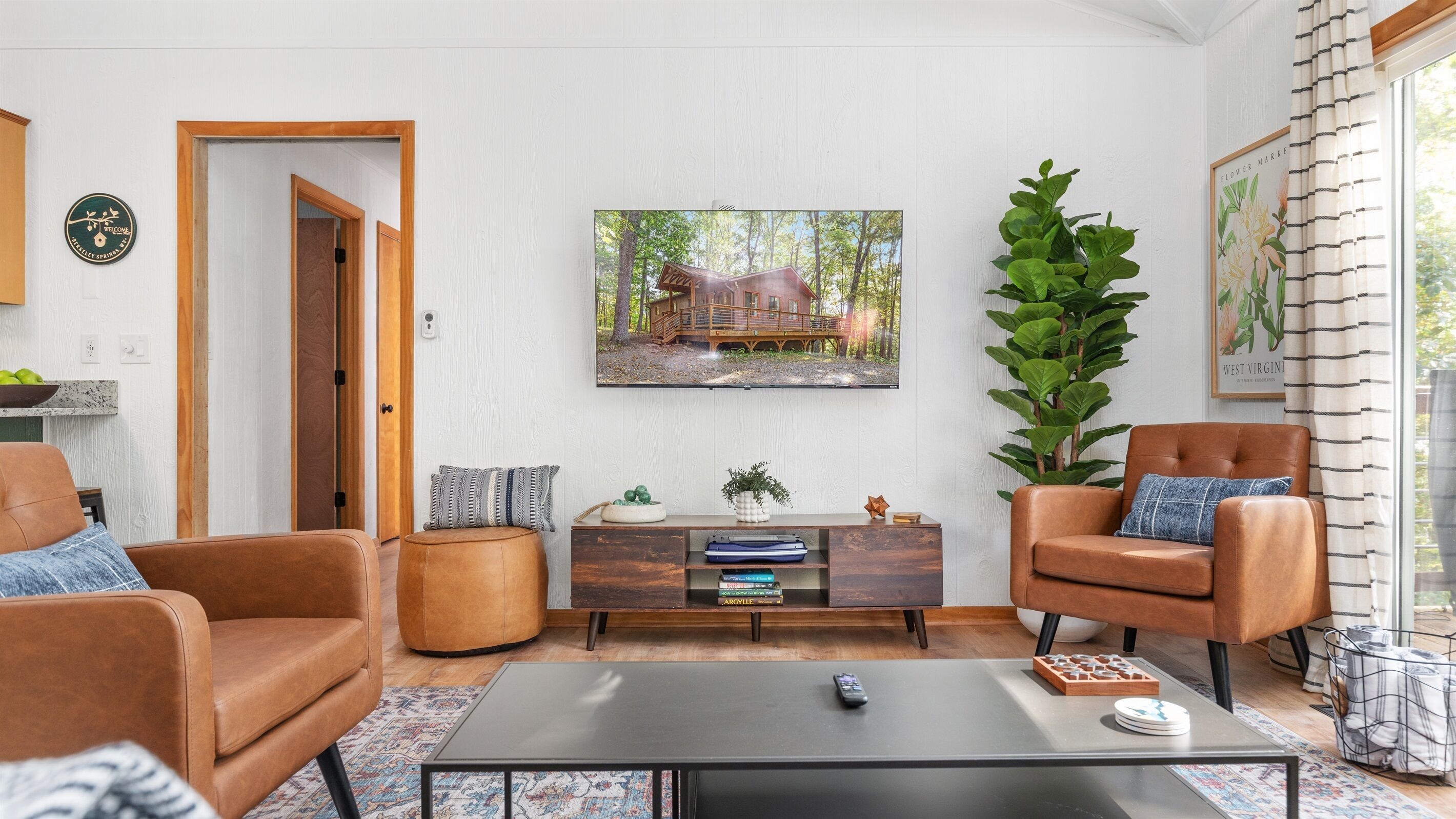 智能电视、壁炉、书