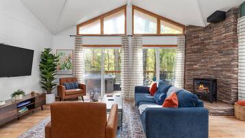 Smart TV, chimenea, libros